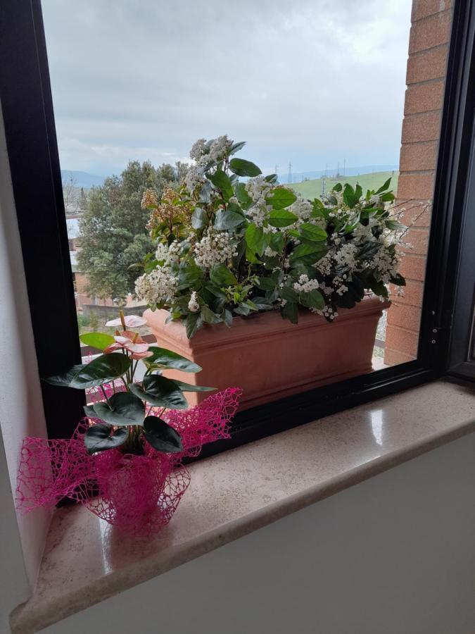 Un Passo Alla Volta Torrenieri Extérieur photo