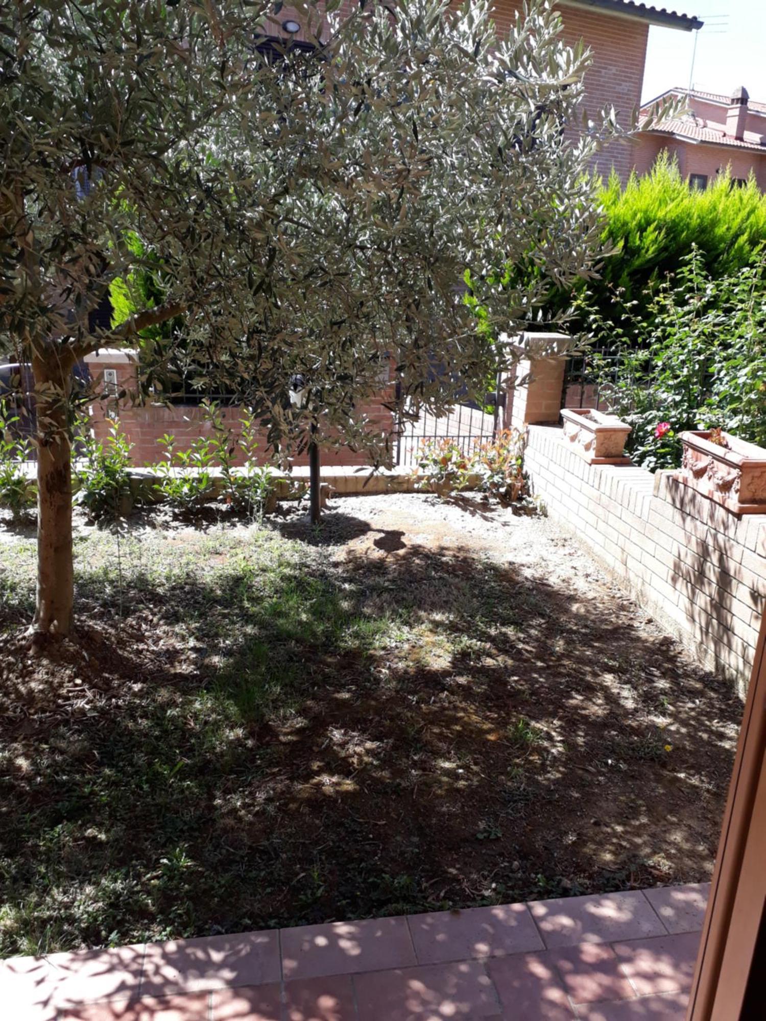 Un Passo Alla Volta Torrenieri Extérieur photo